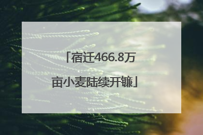宿迁466.8万亩小麦陆续开镰