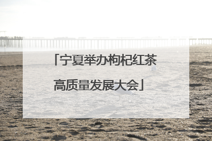 宁夏举办枸杞红茶高质量发展大会