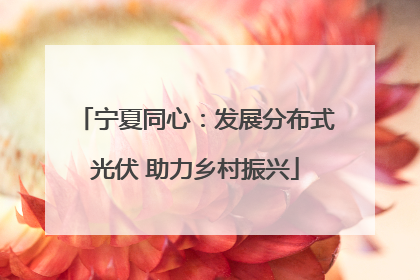 宁夏同心：发展分布式光伏 助力乡村振兴