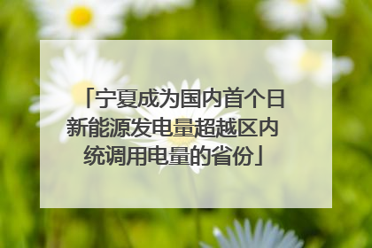 宁夏成为国内首个日新能源发电量超越区内统调用电量的省份