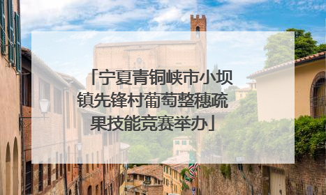 宁夏青铜峡市小坝镇先锋村葡萄整穗疏果技能竞赛举办
