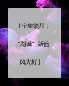 宁夏银川：“湖城”新韵风光好