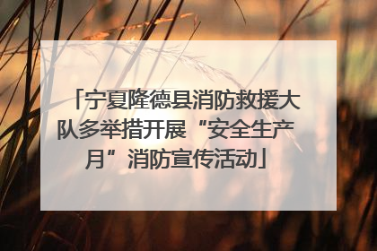 宁夏隆德县消防救援大队多举措开展“安全生产月”消防宣传活动