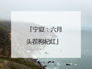 宁夏：六月头茬枸杞红