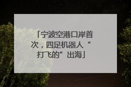 宁波空港口岸首次，四足机器人“打飞的”出海