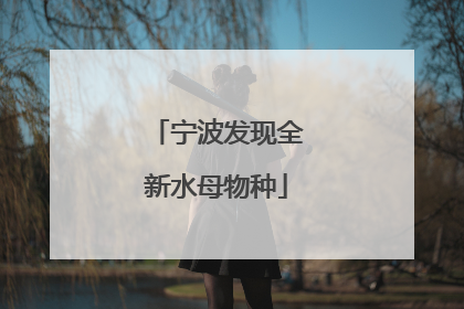 宁波发现全新水母物种