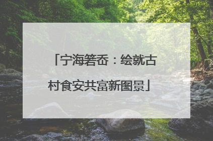 宁海箬岙：绘就古村食安共富新图景