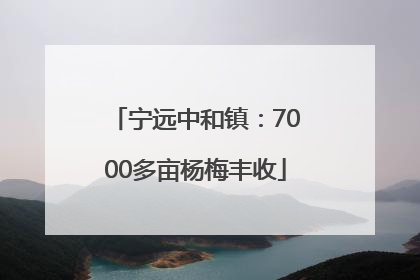 宁远中和镇：7000多亩杨梅丰收