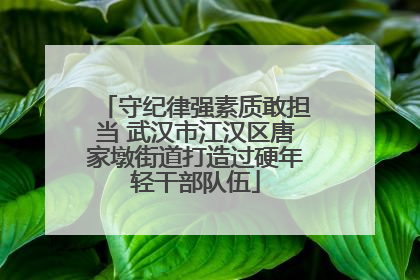 守纪律强素质敢担当 武汉市江汉区唐家墩街道打造过硬年轻干部队伍