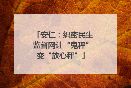 安仁：织密民生监督网让“鬼秤”变“放心秤”