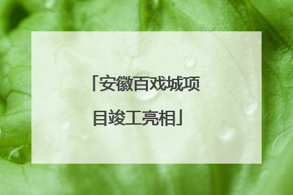 安徽百戏城项目竣工亮相