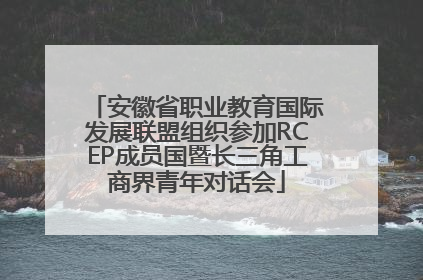 安徽省职业教育国际发展联盟组织参加RCEP成员国暨长三角工商界青年对话会