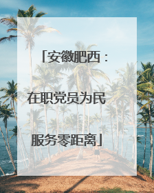 安徽肥西：在职党员为民服务零距离