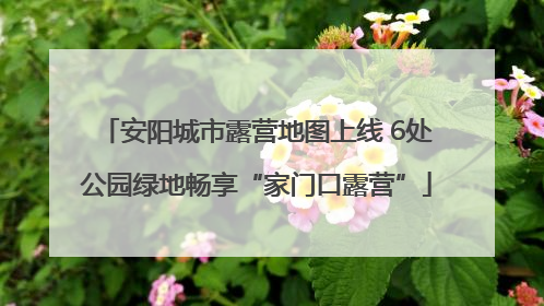 安阳城市露营地图上线 6处公园绿地畅享“家门口露营”