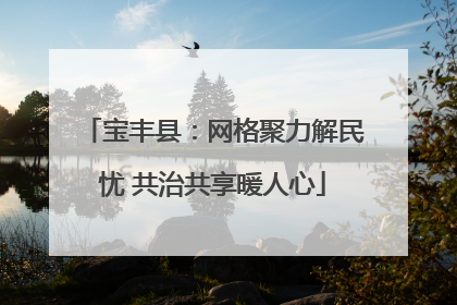 宝丰县：网格聚力解民忧 共治共享暖人心