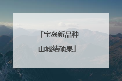 宝岛新品种 山城结硕果