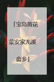 宝岛黄花菜安家尤溪畲乡