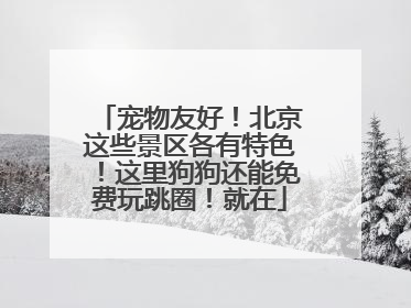 宠物友好！北京这些景区各有特色！这里狗狗还能免费玩跳圈！就在