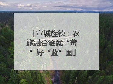 宣城旌德：农旅融合绘就“莓”好“蓝”图