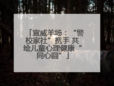 宣威羊场：“警校家社”携手 共绘儿童心理健康“同心圆”