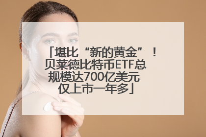 堪比“新的黄金”！贝莱德比特币ETF总规模达700亿美元 仅上市一年多