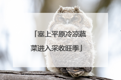 塞上平原冷凉蔬菜进入采收旺季