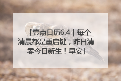 壹点日历6.4｜每个清晨都是重启键，昨日清零今日新生！早安