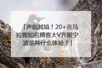 声临其境！20+喜马拉雅知名播客大V齐聚宁波是种什么体验？