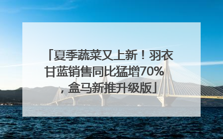 夏季蔬菜又上新！羽衣甘蓝销售同比猛增70%，盒马新推升级版