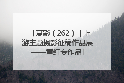 夏影（262）｜上游主题摄影征稿作品展——黄红专作品