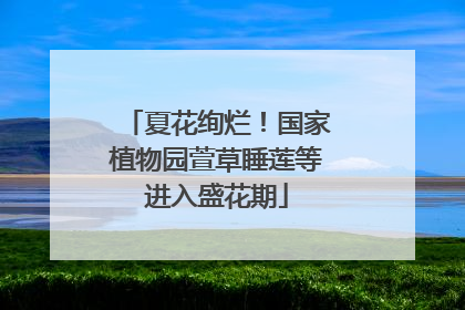 夏花绚烂！国家植物园萱草睡莲等进入盛花期