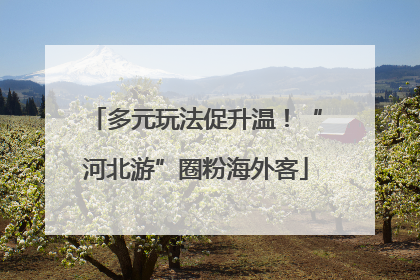 多元玩法促升温！“河北游”圈粉海外客