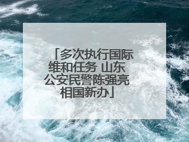 多次执行国际维和任务 山东公安民警陈强亮相国新办