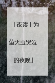 夜读丨为萤火虫哭泣的夜晚