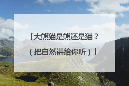 大熊猫是熊还是猫？（把自然讲给你听）