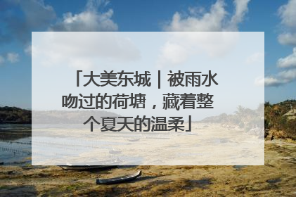 大美东城｜被雨水吻过的荷塘，藏着整个夏天的温柔