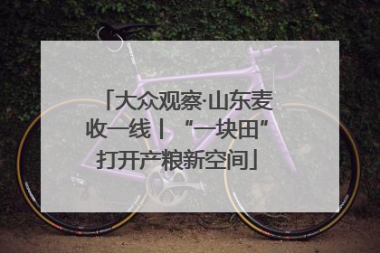 大众观察·山东麦收一线丨“一块田”打开产粮新空间