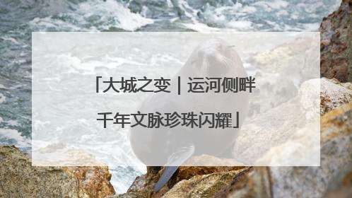 大城之变｜运河侧畔 千年文脉珍珠闪耀
