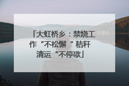 大虹桥乡：禁烧工作“不松懈“ 秸秆清运“不停歇