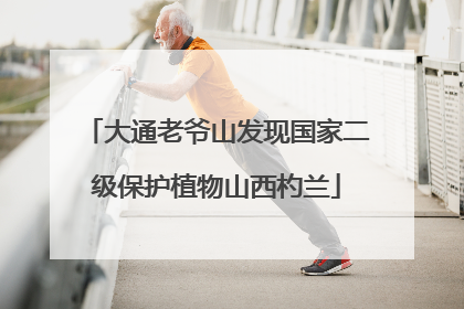 大通老爷山发现国家二级保护植物山西杓兰
