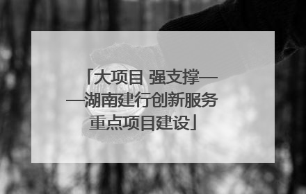 大项目 强支撑——湖南建行创新服务重点项目建设