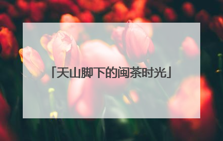 天山脚下的闽茶时光