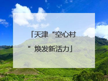 天津“空心村”焕发新活力