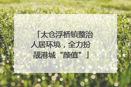 太仓浮桥镇整治人居环境，全力扮靓港城“颜值”