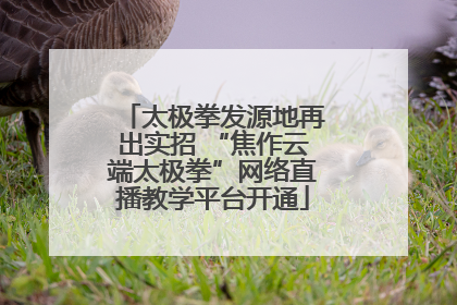 太极拳发源地再出实招 “焦作云端太极拳”网络直播教学平台开通
