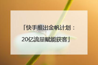 快手推出金帆计划：20亿流量赋能获客