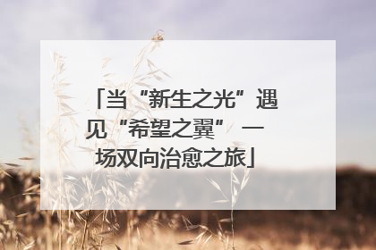 当“新生之光”遇见“希望之翼” 一场双向治愈之旅