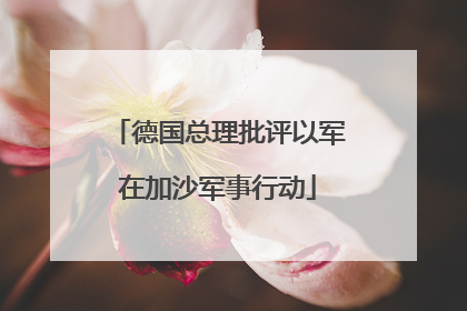德国总理批评以军在加沙军事行动