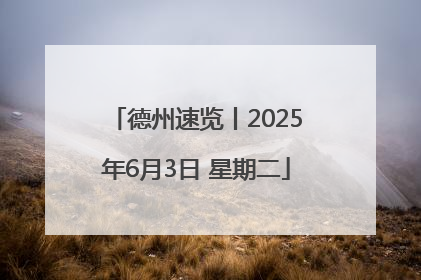 德州速览丨2025年6月3日 星期二