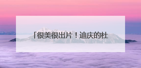 很美很出片！迪庆的杜鹃花开好了——有一种叫云南的生活之365天